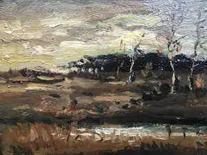 Antonius Vorstermans - Peellandschap kopen? Bied vanaf 50!