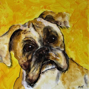 Anke Peddemors - sam de hond kopen? Bied vanaf 25!