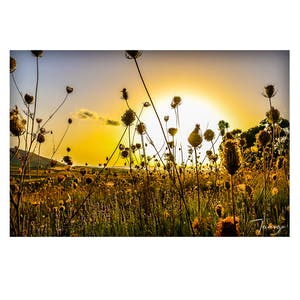 Niet of onleesbaar gesigneerd - Wall Art "Sardegna" [Alu di-bond 80x60 cm] (licht beschadigd) kopen? Bied vanaf 1!