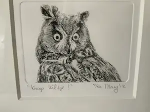 Mary Plantenga - “Knap Uiltje” kopen? Bied vanaf 20!