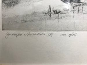 Jef Van Grieken - Ingarpé Manaus VI kopen? Bied vanaf 40!