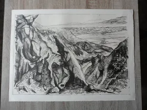 Leo Hofman - Ets, titel, Negev woestijn Israël. kopen? Bied vanaf 15!