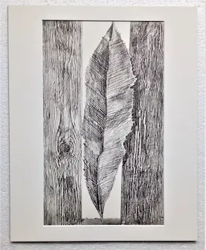 Max Ernst - Litho - Histoire Naturelle - "Motiv 18" - Beperkte oplage - 1972. kopen? Bied vanaf 50!