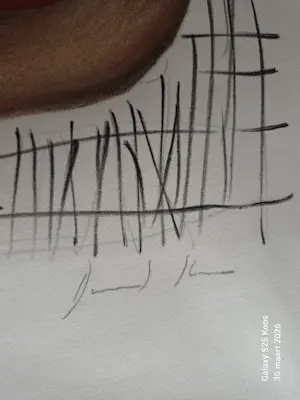 David Stein - D'apres Picasso kopen? Bied vanaf 150!