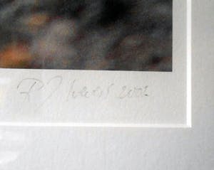 Robert Wevers - De kool, het mes en de hand kopen? Bied vanaf 125!