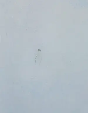 Rudi Polder - Olieverf op doek, Lagune met eiland - Ingelijst kopen? Bied vanaf 50!