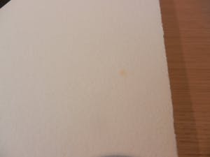 Cornelius Rogge - Litho uit de Gelderse Grafiekmap 1990 Handgesigneerd. kopen? Bied vanaf 1!