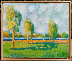 Toon Hermans - Haarlemmermeerpolder, olieverf op doek (netjes ingelijst) kopen? Bied vanaf 1495!