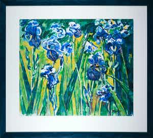 Piet Snoeren - Aquarel, Irissen - Ingelijst (Groot) verkocht voor € 1!