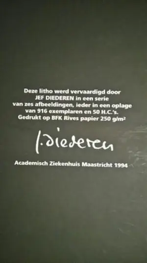 Jef Diederen - Litho (ingelijst) kopen? Bied vanaf 39!