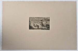 Willem de Zwart - In de stal kopen? Bied vanaf 35!
