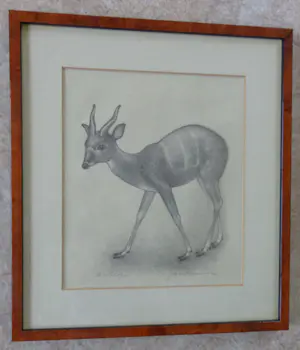 Jan Bezemer - ANTILOPE / ZW-W LITHO / 29x26cm / KADER / SIG kopen? Bied vanaf 30!
