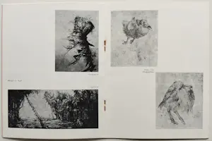 Grafisch Gezelschap de Luis - 2x catalogus met afbeeldingen van o.a. Peter Vos en Charles Donker kopen? Bied vanaf 20!