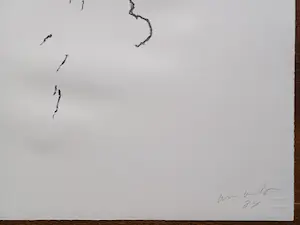 Armando - gesigneerde litho kopen? Bied vanaf 145!