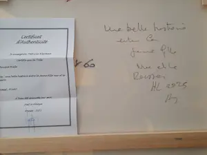 Patricia Kleyman - Acryl op doek. Titel,Une belle Histoire entre la Jeune fille Nue et le Poisson kopen? Bied vanaf 160!