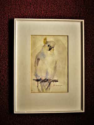 Niet of onleesbaar gesigneerd - Fraaie omstreeks 1920 te dateren Aquarel "Kuif Kaketoe" gesigneerd verkocht voor € 1!