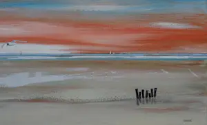 Franklin Meijer - Waddenzee kopen? Bied vanaf 55!