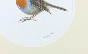 Jan Weenink - Gouache, Roodborstje - Ingelijst kopen? Bied vanaf 100!