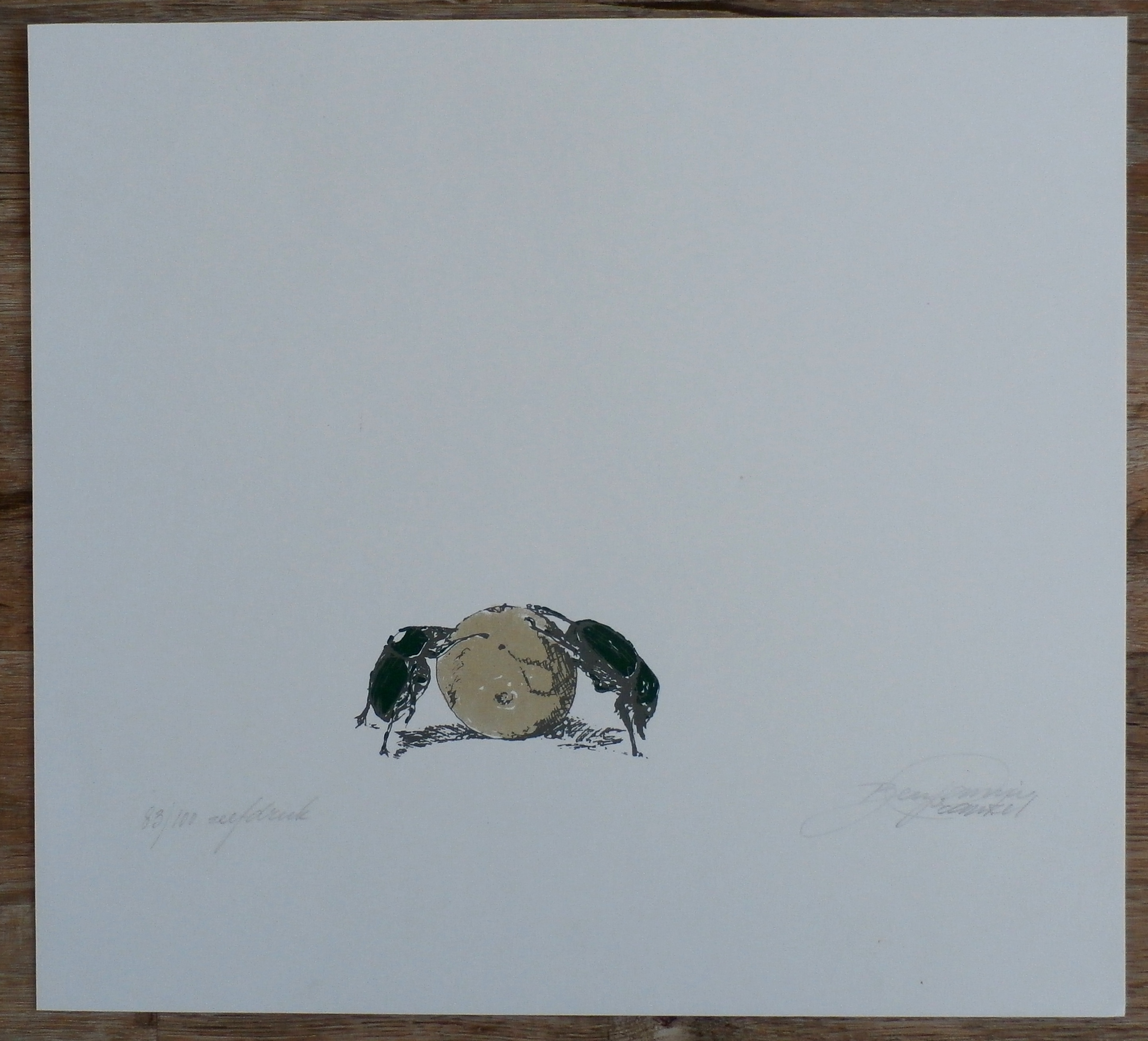 Benjamin Frankel - zeefdruk: mestkevers kopen? Bied vanaf 20!