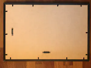 Jan Coenraad Nachenius - Omg. veenendaal kopen? Bied vanaf 45!