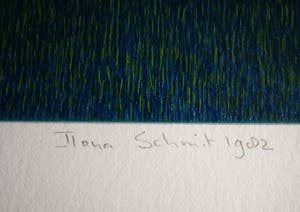 Ilona Schmit - Meisje in doolhof. kopen? Bied vanaf 69!