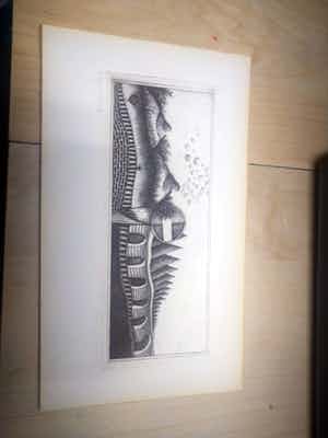 Hans van Draanen - Zonder titel verkocht voor € 30!