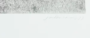 Jan Hein van Rooy - Ets, Borinage, de adelaar van Frameries kopen? Bied vanaf 1!