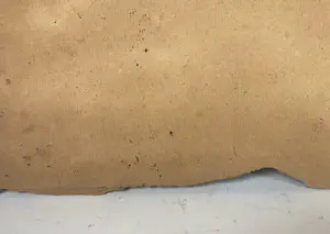 Anton Mauve (sr.) - olieverfstudie van een koe kopen? Bied vanaf 150!