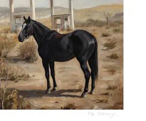 Mr. Strange - Kwijt kopen? Bied vanaf 90!