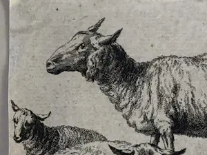 Karel Dujardin - Drie zwijnen (en nog twee etsen Berchem) kopen? Bied vanaf 30!