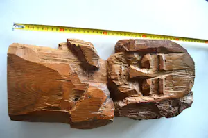 Sjef Kreutzer - Torso van mens. kopen? Bied vanaf 100!