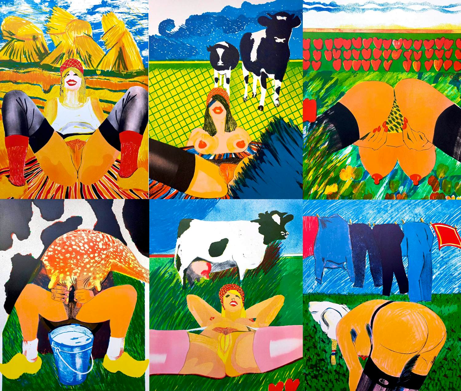 Jan Cremer - Hollandse boerinnen, complete uitgave met 6 litho’s kopen? Bied vanaf 1350!