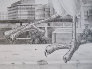 Armando Cairo - Litho "Gier met pad" kopen? Bied vanaf 40!