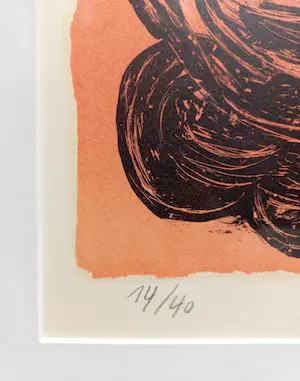 Corneille - Bateau et oiseau, litho (netjes ingelijst) kopen? Bied vanaf 1!