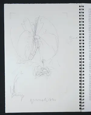 Joseph Beuys - Frits Bless, Joseph Beuys. Een gesprek (Uitgeverij Bébert 1987) kopen? Bied vanaf 1!