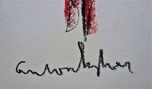 Anton Heyboer - Het dier . kopen? Bied vanaf 175!