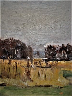 Selma Timmerman - finalist Prix de Rome 1979 - olieverf "Landschap bij Assendelft" gesigneerd kopen? Bied vanaf 10!