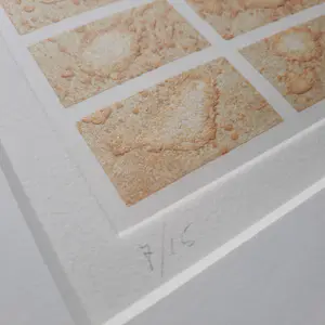 Thomas Ankum - Fotopolymeerets in passe-partout - 25710 kopen? Bied vanaf 75!
