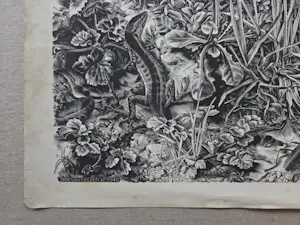 Dirk van Gelder - In memoriam. Natuur. Salamander. kopen? Bied vanaf 49!