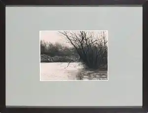 Chris Nobels - Krijt, Duinen Meijendel verkocht voor € 50!