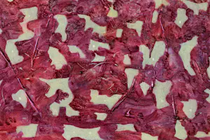 Ad van Riel - Panorama (24) kopen? Bied vanaf 80!