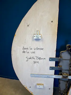 Judith Braun - Dans la vitesse de la vie kopen? Bied vanaf 1500!