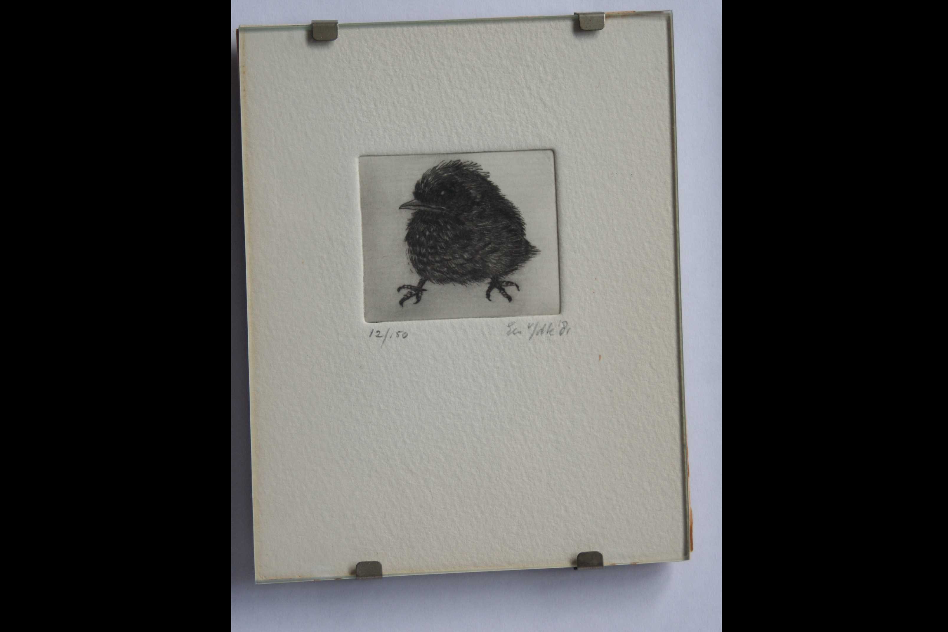 Niet of onleesbaar gesigneerd - vogeltje - 1981 - gesigneerd - 2 stuks kopen? Bied vanaf 1!