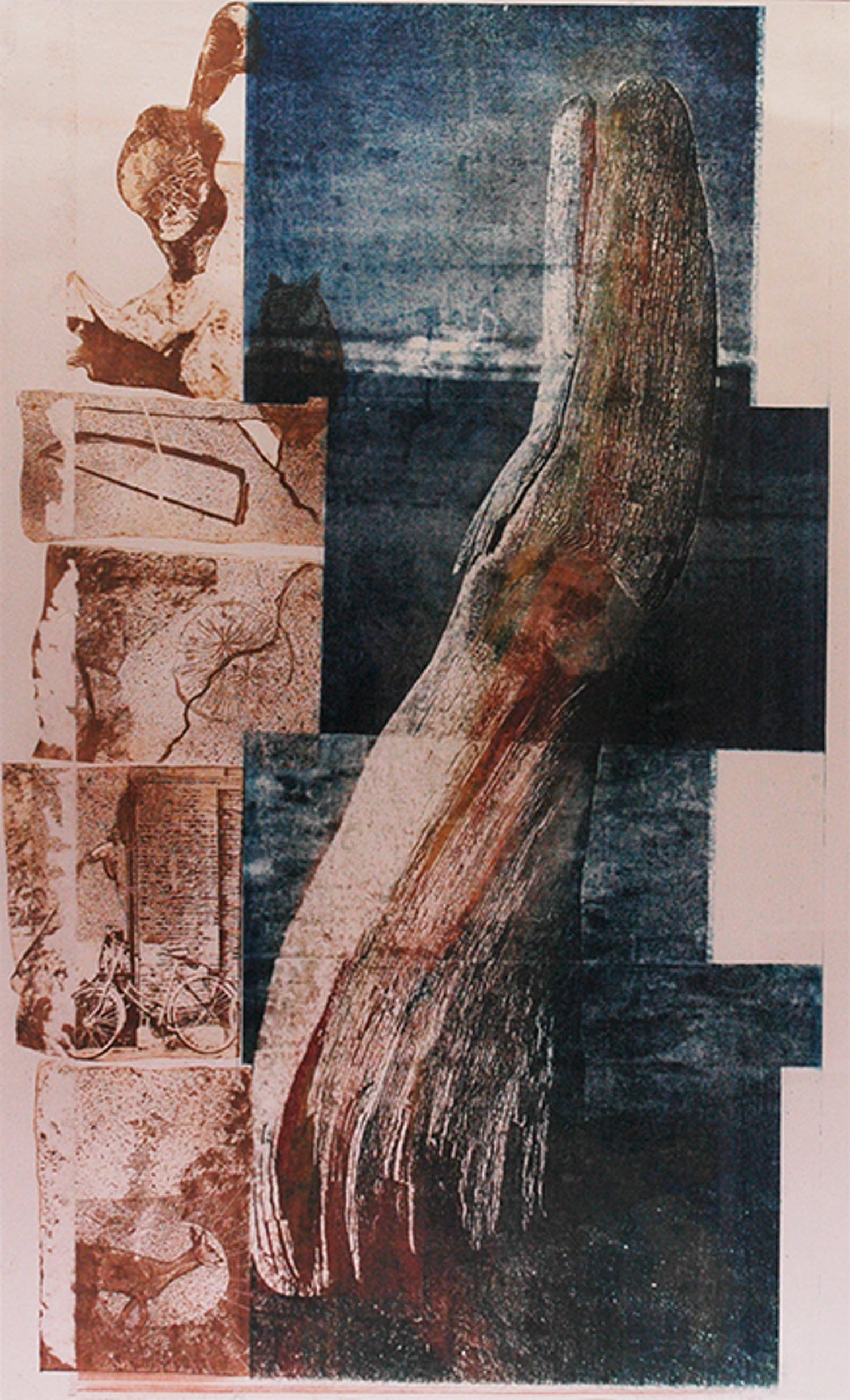 Paula van den Elshout