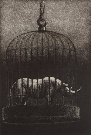 Jan A.M.J. Hurx - Neushoorn in kooi - 1/8 - 1977 - ets en aquatint op papier kopen? Bied vanaf 20!