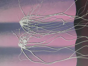 Vincent Mengin-Lecreult - Zonder titel kopen? Bied vanaf 30!