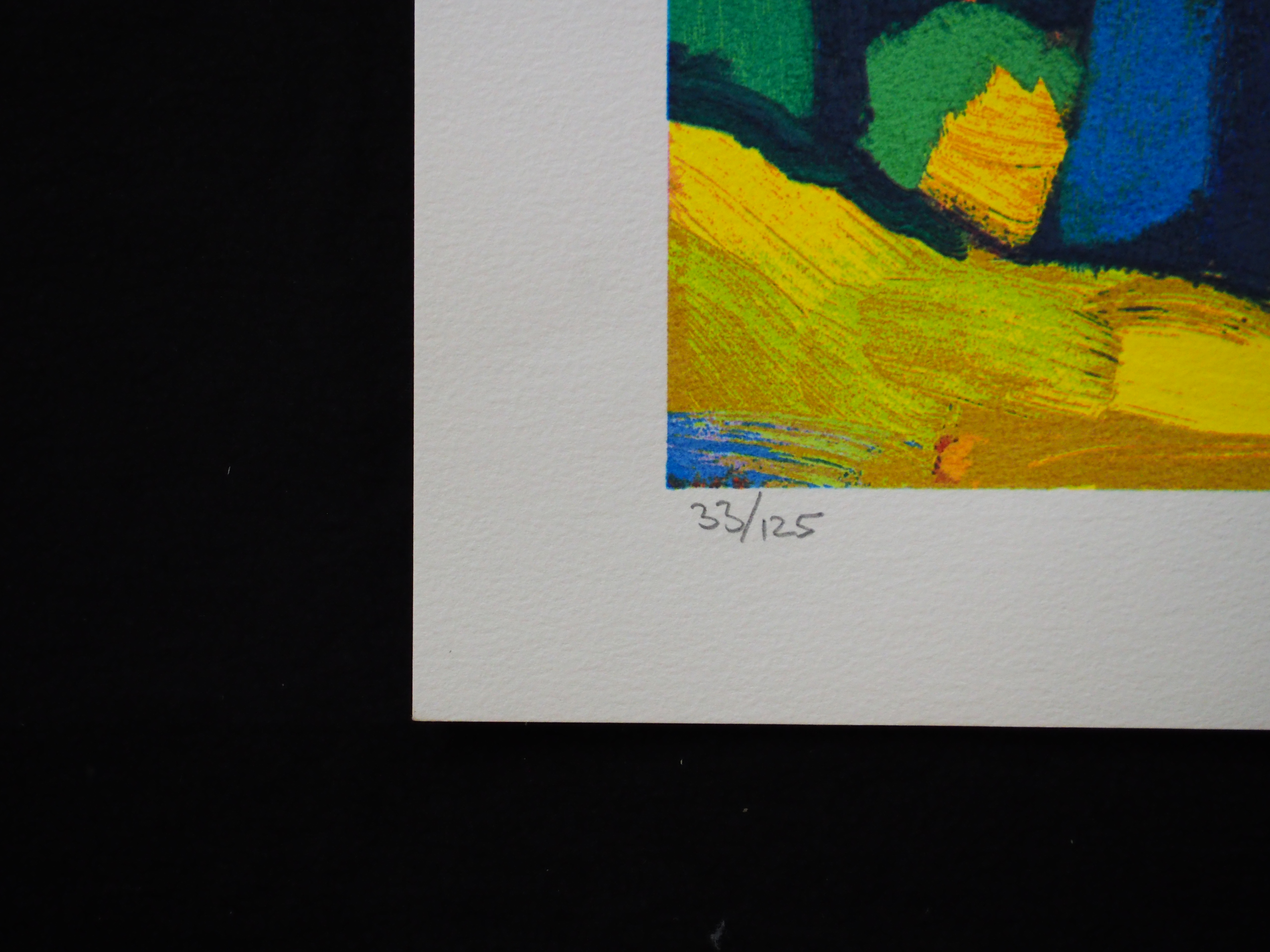 Jentsje Popma - Zomer kopen? Bied vanaf 50!