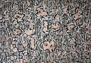 Jan Wolkers - Winterbeelden V, 1995 kopen? Bied vanaf 150!