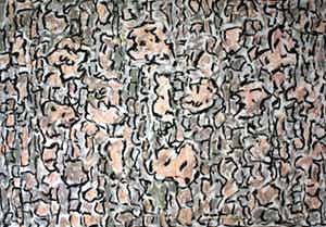 Jan Wolkers - Winterbeelden V, 1995 verkocht voor € 150!