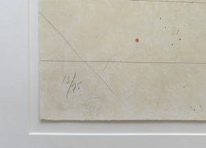 Cole Morgan - Kleurenlitho | 'Zonder titel' | 1992 (Mooi ingelijst) kopen? Bied vanaf 250!